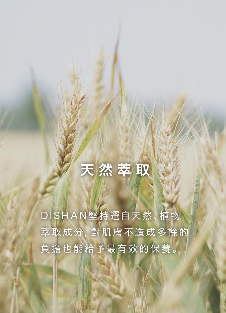 關於DISHAN-08